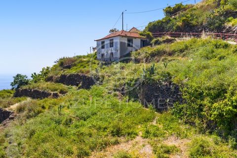 Helårsgrund i Ribeira Brava, Madeira, Ribeira Brava - € 350.000 | Ref: SÒL_22 - foto 17