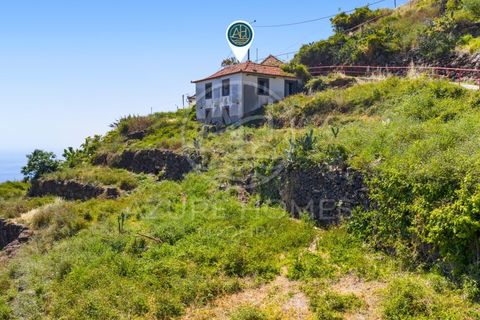 Helårsgrund i Ribeira Brava, Madeira, Ribeira Brava - € 350.000 | Ref: SÒL_22 - foto 18