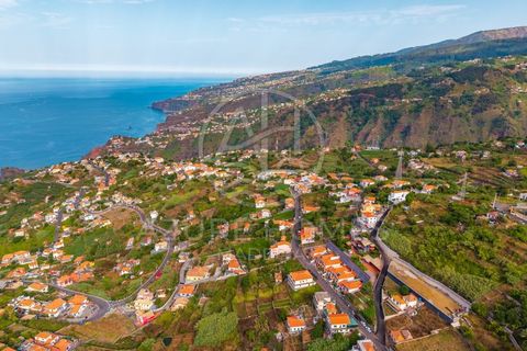 Helårsgrund i Ribeira Brava, Madeira, Ribeira Brava - € 220.000 | Ref: SÒL_11 - foto 13