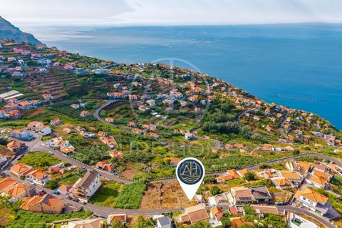 Helårsgrund i Ribeira Brava, Madeira, Ribeira Brava - € 110.000 | Ref: TER_19 - foto 1
