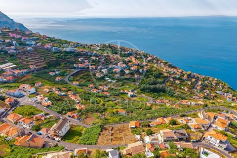 Helårsgrund i Ribeira Brava, Madeira, Ribeira Brava - € 110.000 | Ref: TER_19 - foto 3