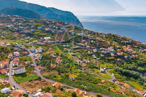 Helårsgrund i Ribeira Brava, Madeira, Ribeira Brava - € 110.000 | Ref: TER_19 - foto 5