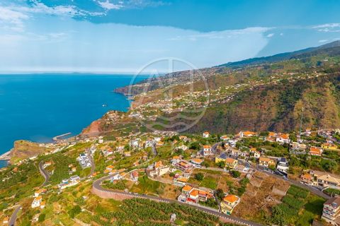 Helårsgrund i Ribeira Brava, Madeira, Ribeira Brava - € 110.000 | Ref: TER_19 - foto 11