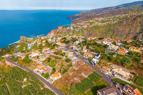 Helårsgrund i Ribeira Brava, Madeira, Ribeira Brava - € 110.000 | Ref: TER_19 - foto 14