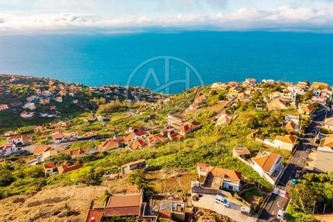 Helårsgrund i Ribeira Brava, Madeira, Ribeira Brava - € 230.000 | Ref: SÒL_2 - foto 6