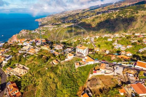 Helårsgrund i Ribeira Brava, Madeira, Ribeira Brava - € 230.000 | Ref: SÒL_2 - foto 14