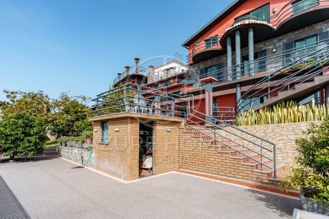 Villa i Ribeira Brava, Madeira, Ribeira Brava - € 1.535.000 | Ref: HAB_3 - foto 6