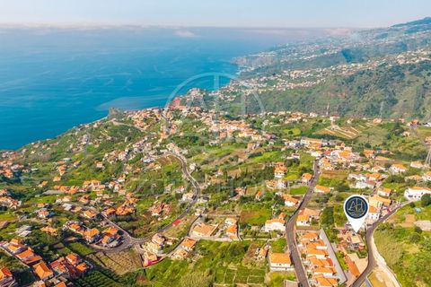 Villa i Ribeira Brava, Madeira, Ribeira Brava - € 1.535.000 | Ref: HAB_3 - foto 49
