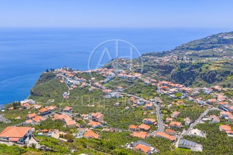 Villa - Ponta do Sol, Madeira, Ponta do Sol - € 1 450 000 | Réf : CAS_6 - photo 14