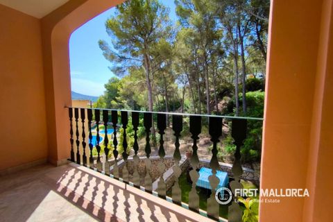 Villa a Santa Ponsa, Mallorca, Santa Ponsa - € 3.500/mes | Ref: R11440 - foto 17