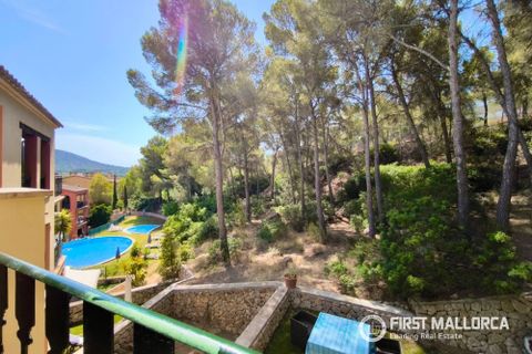 Villa a Santa Ponsa, Mallorca, Santa Ponsa - € 3.500/mes | Ref: R11440 - foto 18