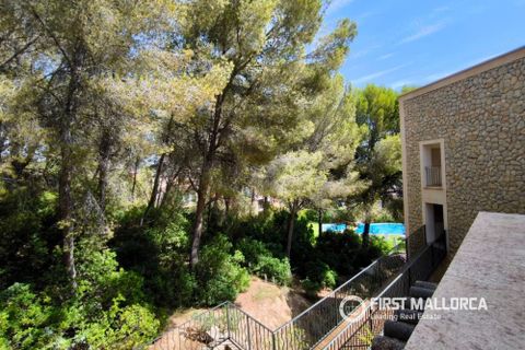 Villa a Santa Ponsa, Mallorca, Santa Ponsa - € 3.500/mes | Ref: R11440 - foto 24