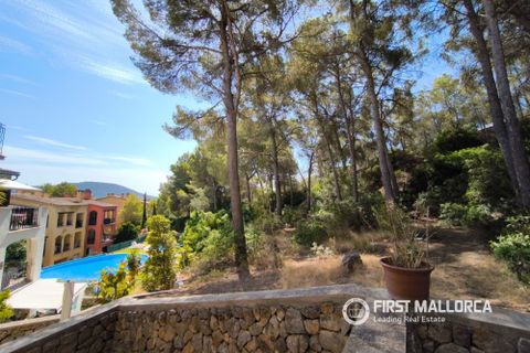 Villa a Santa Ponsa, Mallorca, Santa Ponsa - € 3.500/mes | Ref: R11440 - foto 25