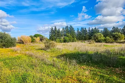 Terra a Felanitx, Mallorca, Felanitx - € 280.000 | Ref: 46609 - foto 3