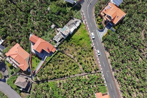 Terra em Ponta do Sol, Madeira, Ponta do Sol - € 200.000 | Ref: 081260169 - foto 2