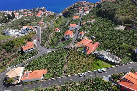 Terra em Ponta do Sol, Madeira, Ponta do Sol - € 200.000 | Ref: 081260169 - foto 3