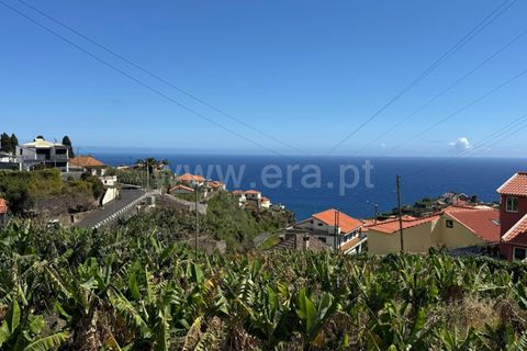 Terra em Ponta do Sol, Madeira, Ponta do Sol - € 200.000 | Ref: 081260169 - foto 4