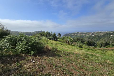 Helårsgrund i Santana, Madeira, Santana - € 120.000 | Ref: 081260170 - foto 1