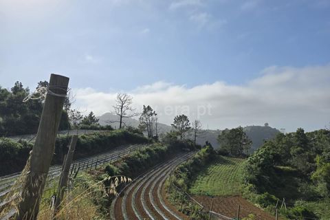 Helårsgrund i Santana, Madeira, Santana - € 120.000 | Ref: 081260170 - foto 2