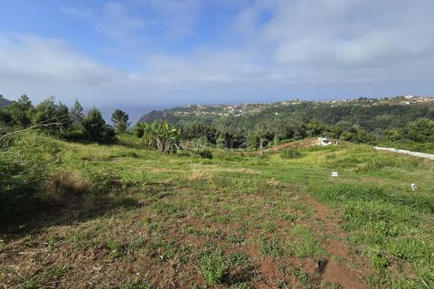 Helårsgrund i Santana, Madeira, Santana - € 120.000 | Ref: 081260170 - foto 5