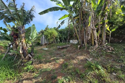 Helårsgrund i Santana, Madeira, Santana - € 120.000 | Ref: 081260170 - foto 6