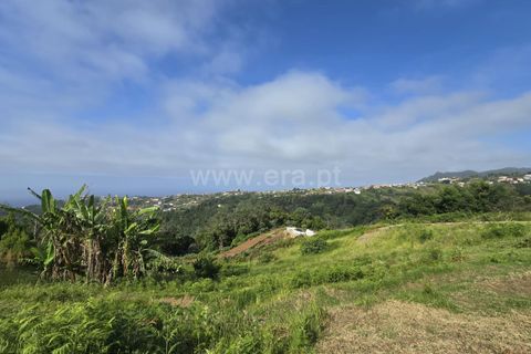 Helårsgrund i Santana, Madeira, Santana - € 120.000 | Ref: 081260170 - foto 7