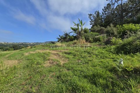 Helårsgrund i Santana, Madeira, Santana - € 120.000 | Ref: 081260170 - foto 8