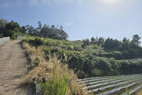 Helårsgrund i Santana, Madeira, Santana - € 120.000 | Ref: 081260170 - foto 10
