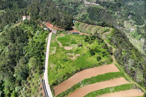 Helårsgrund i Santana, Madeira, Santana - € 120.000 | Ref: 081260170 - foto 13