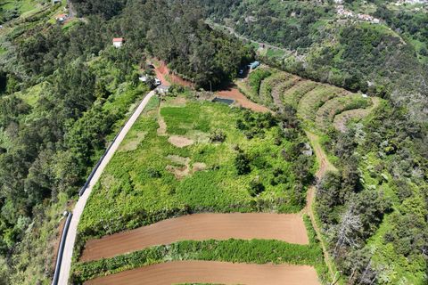Helårsgrund i Santana, Madeira, Santana - € 120.000 | Ref: 081260170 - foto 14