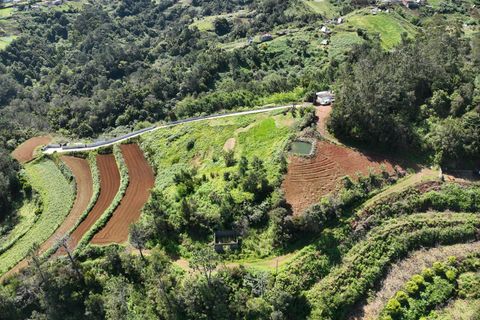 Helårsgrund i Santana, Madeira, Santana - € 120.000 | Ref: 081260170 - foto 16