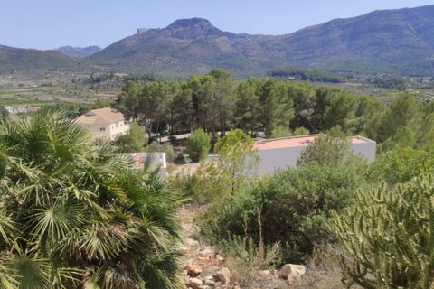 Helårsgrund i Alcalali, Alicante, Alcalali - € 65.000 | Ref: 2122 - foto 2