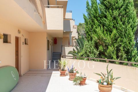 Lejlighed i Peguera, Mallorca, Peguera - € 499.000 | Ref: 1284 - foto 24