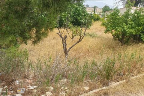 Villa en Sax, Alicante, Sax - € 59.995 | Ref: IVD13881 - photo 14
