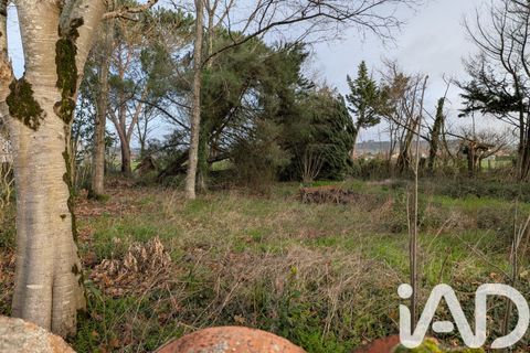 Terra a Terssac, Tarn, Terssac - € 130.000 | Ref: 79790 - foto 3