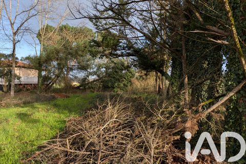 Terra a Terssac, Tarn, Terssac - € 130.000 | Ref: 79790 - foto 5