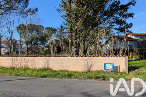 Terra a Terssac, Tarn, Terssac - € 130.000 | Ref: 79790 - foto 6