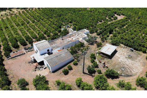 Granja a Conceicao e Estoi, Faro, Conceicao e Estoi - € 2.450.000 | Ref: C0254-01675 - foto 2
