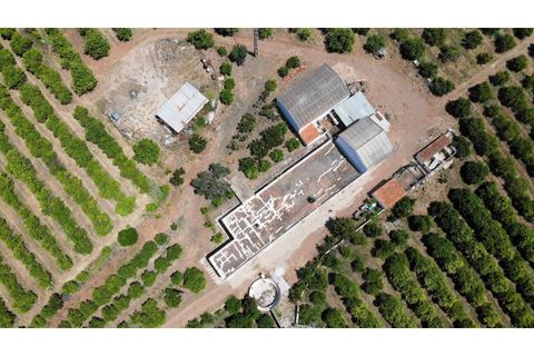 Granja a Conceicao e Estoi, Faro, Conceicao e Estoi - € 2.450.000 | Ref: C0254-01675 - foto 3