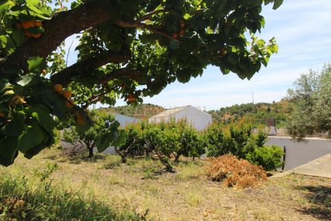 Granja a Conceicao e Estoi, Faro, Conceicao e Estoi - € 2.450.000 | Ref: C0254-01675 - foto 12