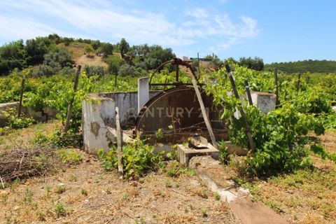 Granja a Conceicao e Estoi, Faro, Conceicao e Estoi - € 2.450.000 | Ref: C0254-01675 - foto 13