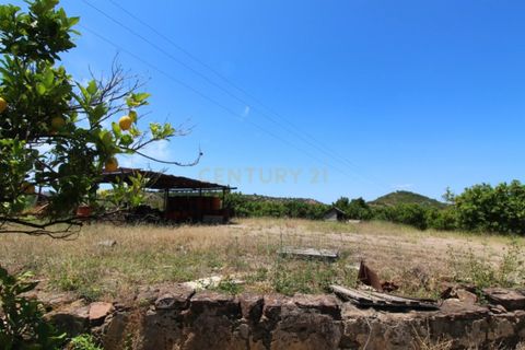 Granja a Conceicao e Estoi, Faro, Conceicao e Estoi - € 2.450.000 | Ref: C0254-01675 - foto 16