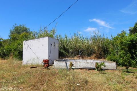Granja a Conceicao e Estoi, Faro, Conceicao e Estoi - € 2.450.000 | Ref: C0254-01675 - foto 17