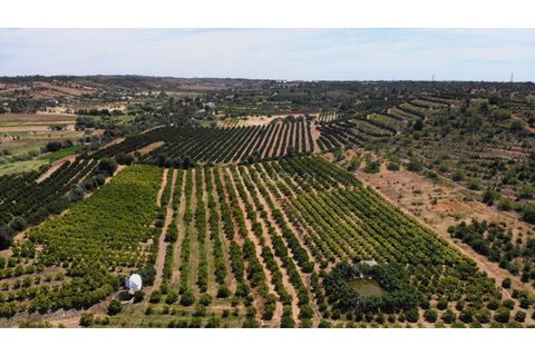 Granja a Conceicao e Estoi, Faro, Conceicao e Estoi - € 2.450.000 | Ref: C0254-01675 - foto 21
