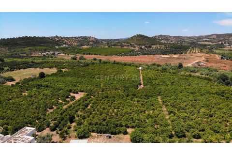 Granja a Conceicao e Estoi, Faro, Conceicao e Estoi - € 2.450.000 | Ref: C0254-01675 - foto 22