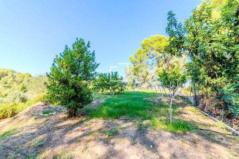 Villa i Olivella, Barcelona, Olivella - € 515.000 | Ref: SIT62837 - foto 27