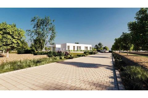 Villa a Benejuzar, Alicante, Benejuzar - € 995.000 | Ref: NEW-EF-0179 - foto 13