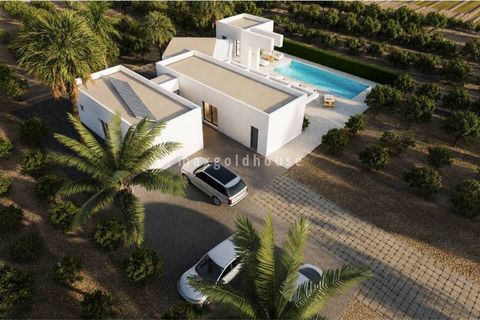 Villa a Benejuzar, Alicante, Benejuzar - € 995.000 | Ref: NEW-EF-0179 - foto 16