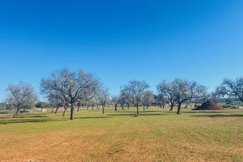 Landejendom i Campos, Mallorca, Campos - € 1.680.000 | Ref: SH-1885 - foto 32