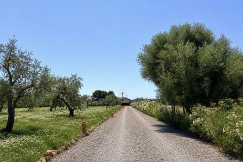 Landejendom i Campos, Mallorca, Campos - € 1.680.000 | Ref: SH-1885 - foto 34